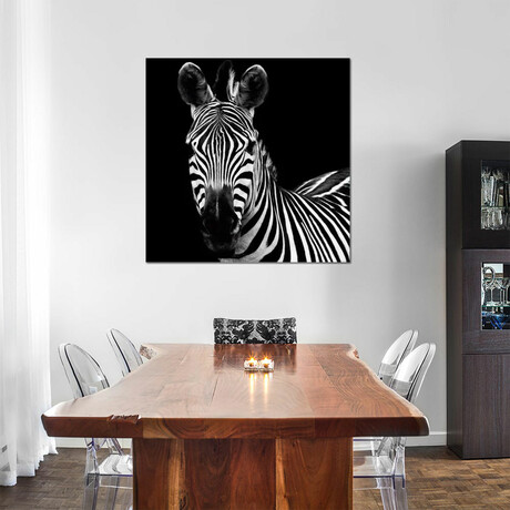 Zebra II by Debra Van Swearingen (12"H x 12"W x 1.5"D)