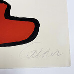 Alexander Calder // Stone Age  // 1970