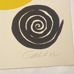 Alexander Calder  // La naissance de l'inattendu/ The Birth of the Unexpected from La Memoire Elementaire  // 1976