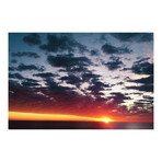 Feb 1St 6.17 By Radical (24"H x 16"W x 2"D)