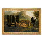 Escape By Radical (24"H x 16"W x 2"D)