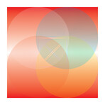 Blood Orange By Radical (12"H x 12"W x 2"D)