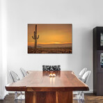 Cactus Sunrise by Don Schwartz (12"H x 18"W x 1.5"D)