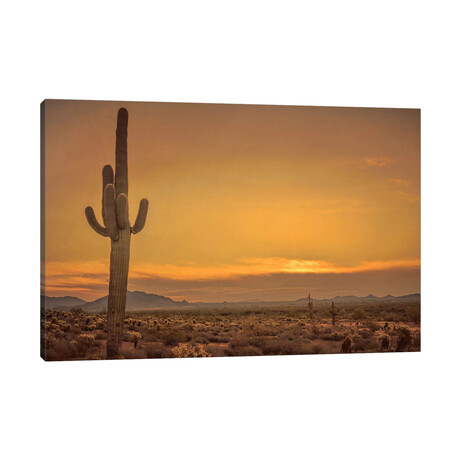 Cactus Sunrise by Don Schwartz (12"H x 18"W x 1.5"D)