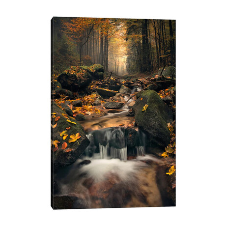 Autumn Jungle by Stefan Hefele (18"H x 12"W x 1.5"D)