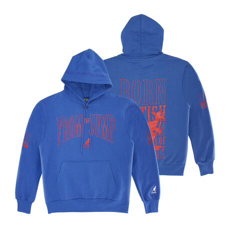 Graphic Screen-Printed + Embroidered Hoodie // Royal Blue (S)