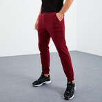 Men's Hidden Zipper Polar Fleece Joggers // Burgundy (S)