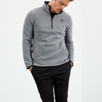 Men's Half-Zip Polar Fleece Pullover Sweatshirt // Gray Melange (S)