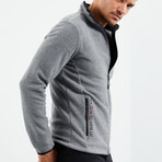 Men's Embroidered Zip-Up Collared Polar Fleece Jacket // Gray Melange (S)