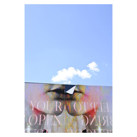 THE CONVERSATION by DAVID JORDAN WILLIAMS (24"H x 16"W x 2"D)