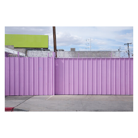 PINK SECURITY by DAVID JORDAN WILLIAMS (16" H x 24"W x 2"D)