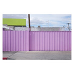 PINK SECURITY by DAVID JORDAN WILLIAMS (16" H x 24"W x 2"D)