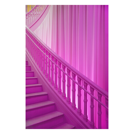 PINK ENTRY by DAVID JORDAN WILLIAMS (24"H x 16"W x 2"D)