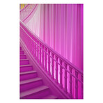 PINK ENTRY by DAVID JORDAN WILLIAMS (24"H x 16"W x 2"D)