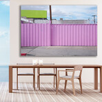 PINK SECURITY by DAVID JORDAN WILLIAMS (16" H x 24"W x 2"D)