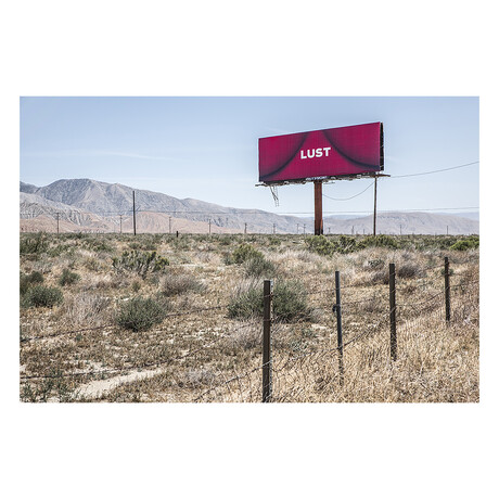 LUST by DAVID JORDAN WILLIAMS (16" H x 24"W x 2"D)
