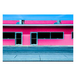 SHOCKING by DAVID JORDAN WILLIAMS (16" H x 24"W x 2"D)