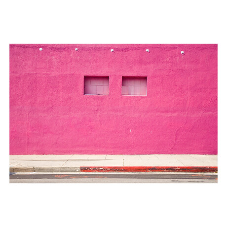 TINY TWINNING by DAVID JORDAN WILLIAMS (16" H x 24"W x 2"D)