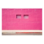 TINY TWINNING by DAVID JORDAN WILLIAMS (16" H x 24"W x 2"D)