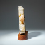 Genuine Agate Slice on Brown Wooden Stand