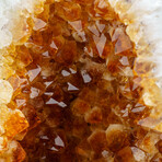 Genuine Citrine Clustered Geode