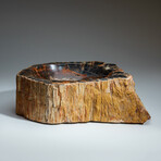 Genuine Petrified Wood Bowl