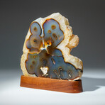 Genuine Agate Slice on Brown Wooden Stand