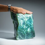 Genuine Polished Jade Freeform