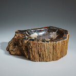 Genuine Petrified Wood Bowl