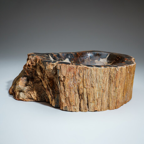 Genuine Petrified Wood Bowl