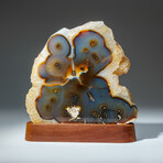 Genuine Agate Slice on Brown Wooden Stand