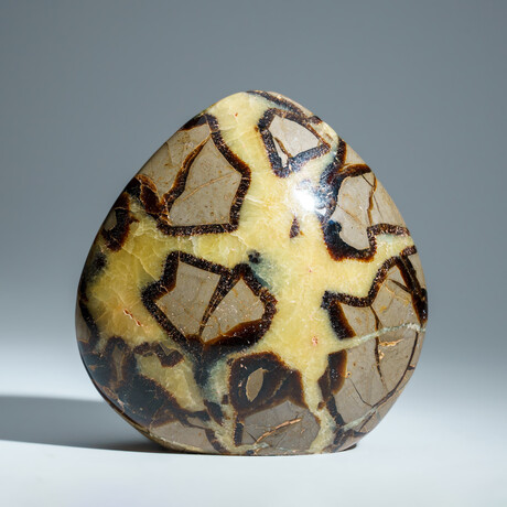 Genuine Septarian Freeform