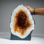 Genuine Citrine Clustered Geode