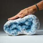 Genuine Blue Celestite Geode // 15.5lb