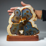 Genuine Agate Slice on Brown Wooden Stand