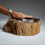 Genuine Petrified Wood Bowl