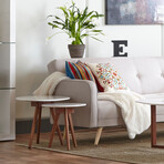 Morty Coffee Table in Matte White with Dark Walnut Base