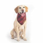Pendleton Plaid Dog Bandana Gift Set (Sm/Md)
