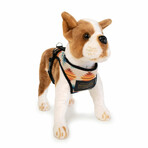 Pendleton Classics Dog Harness // Falcon Cove (X-Small)