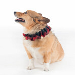 Pendleton Jingle Dog Collar // MacCormick (Small)