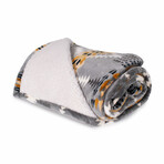 Pendleton Pet Throw // Rancho Arroyo (30"W x 40"D)