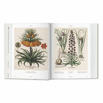 Basilius Besler. Florilegium. The Book of Plants