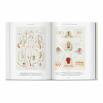 Haeckel // 40th Anniversary Edition