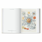 Haeckel // 40th Anniversary Edition