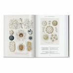 Haeckel // 40th Anniversary Edition