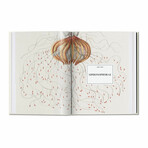 Haeckel // 40th Anniversary Edition