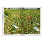 Koolhaas, Countryside