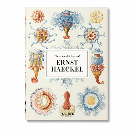 Haeckel // 40th Anniversary Edition