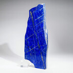 Genuine Giant Lapis Lazuli Freeform