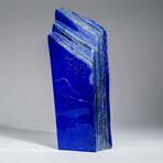 Genuine Polished Lapis Lazuli Freeform // 10.8 lb